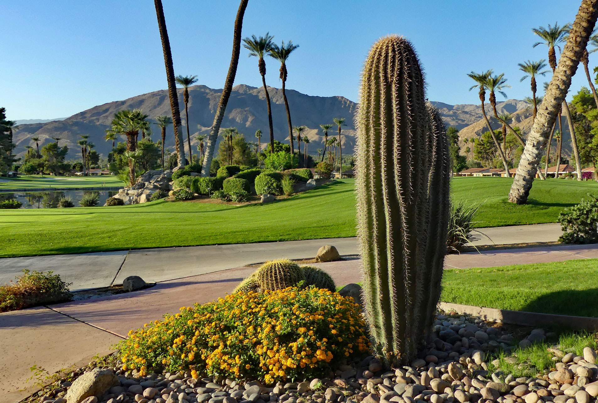 Explore Sunrise Country Club Rancho Mirage, CA